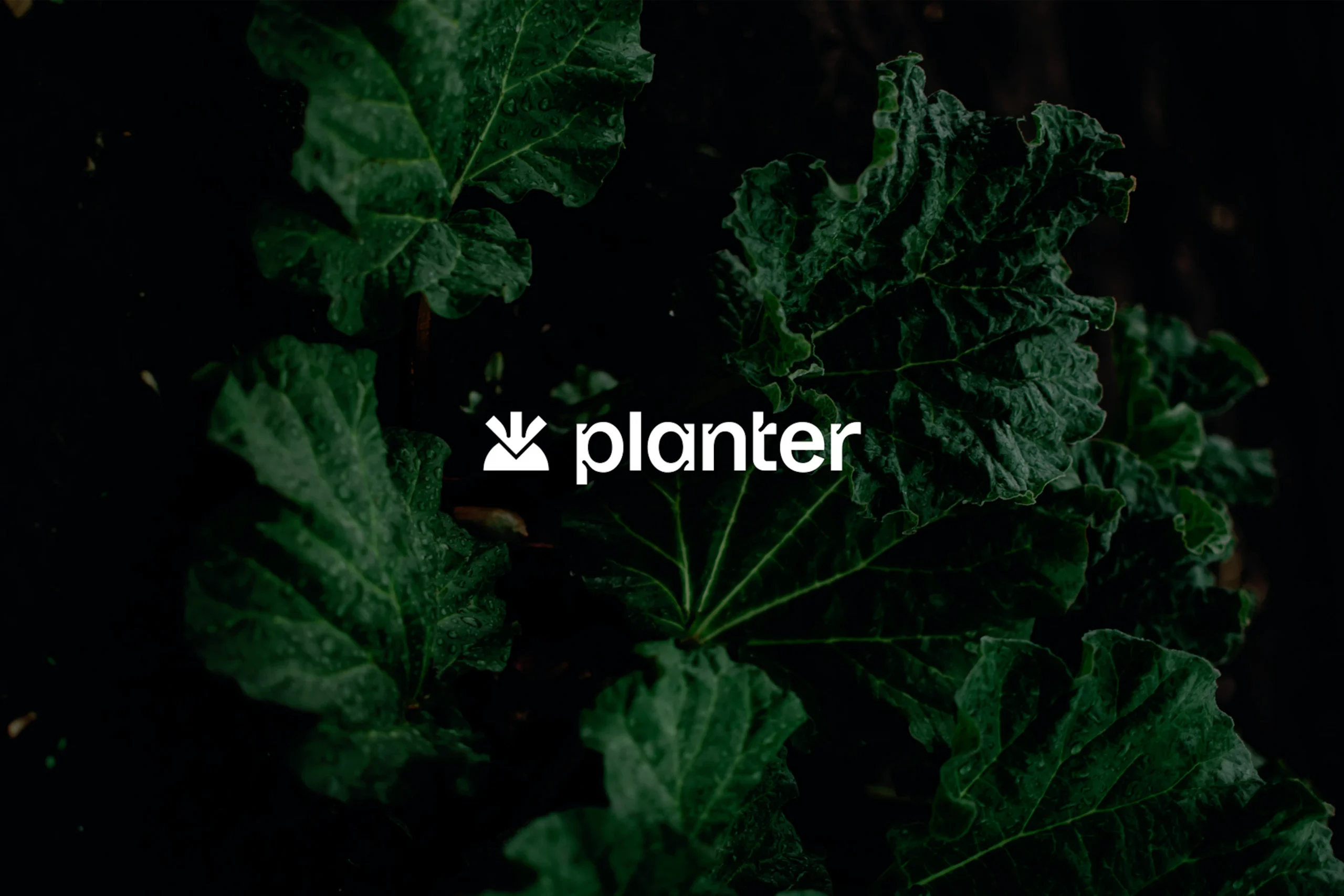 PLANTER | Scatti x App